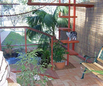 Stud 2024 cat enclosures