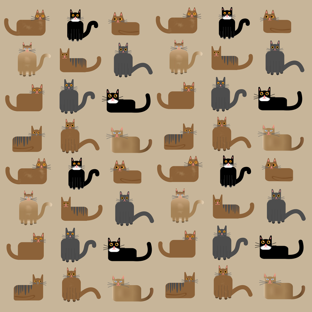 many different cat breeds