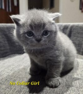 girl-1