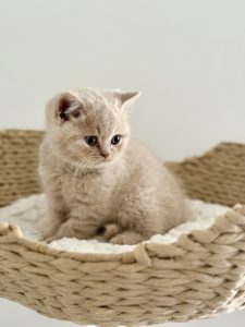 IMG_1080