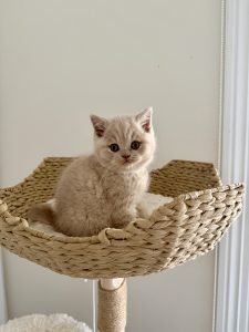 IMG_1086