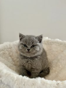 IMG_1097