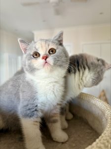 processed-109BBD6E-6800-4251-8A3A-0E9E678B3065