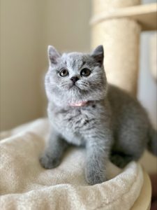 processed-13CB157C-FA76-4377-BF25-44FDB8C68AB6