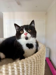 processed-207E1519-BA28-4737-BACA-BE383C645165