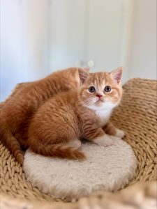 processed-36A19BEF-8490-43CB-B18E-B628F4361546