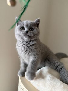 processed-ADDD6CEB-1199-4DE1-A545-38CAF0D3F5B3