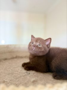 processed-B9995081-A93B-4FDD-9804-4716E85435E9