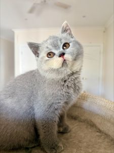 processed-D841FCF1-343D-4A7F-981B-9D58DB1198C0