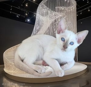 20250326_154606_resized